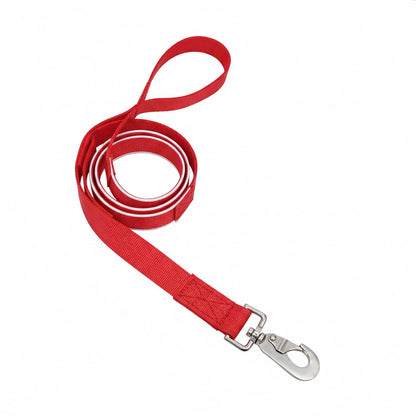 Reflective Dog Leash – High Visibility for Night Walks