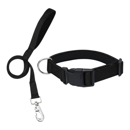 Durable Nylon Collar and Leash Set