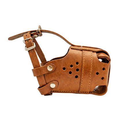 Premium Leather Padded Dog Muzzle