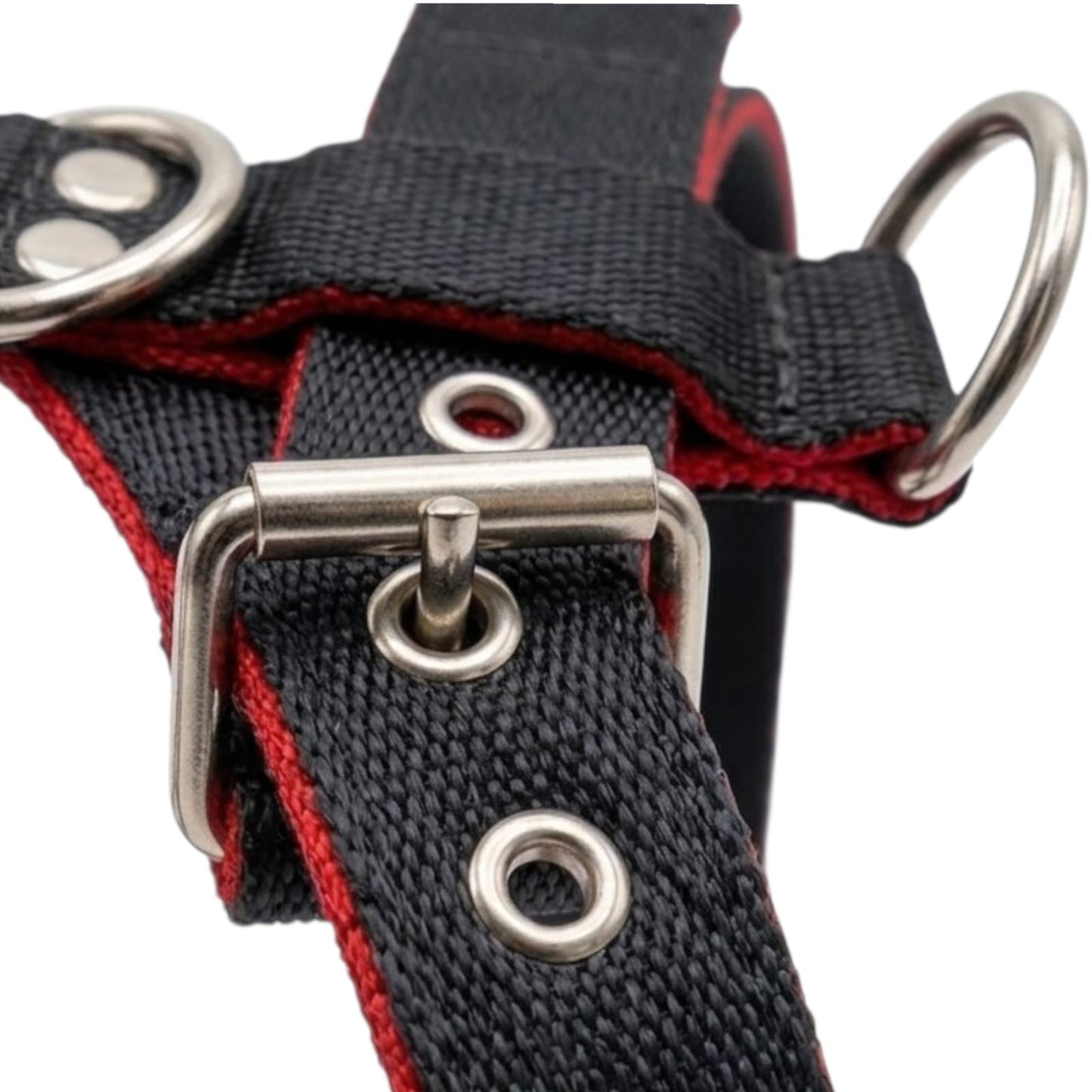 Nylon Dog Harness