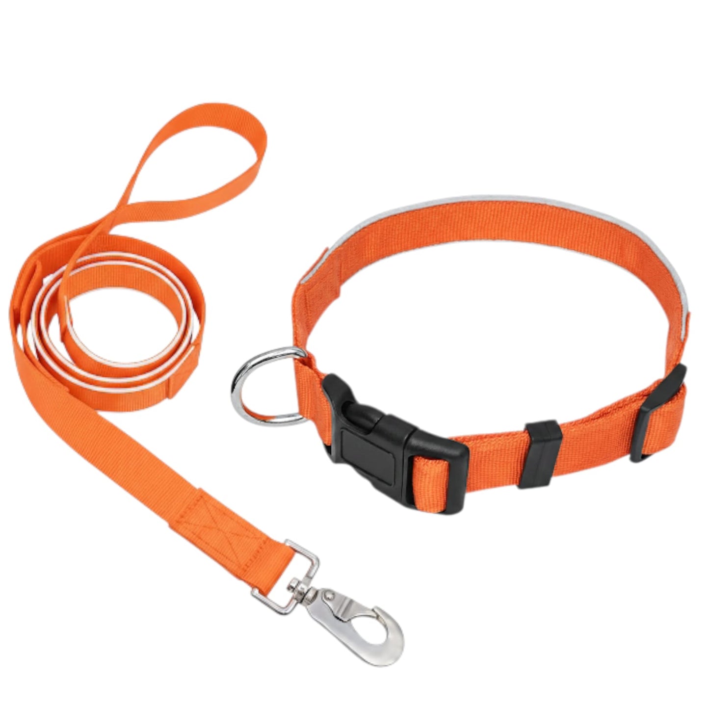 SafeStep Collar & Leash Set
