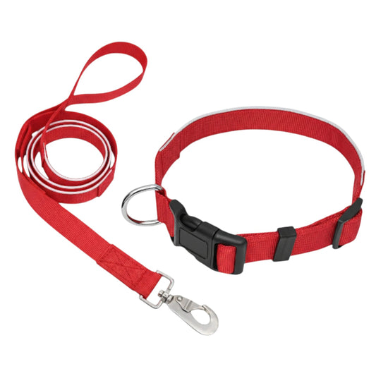 SafeStep Collar & Leash Set