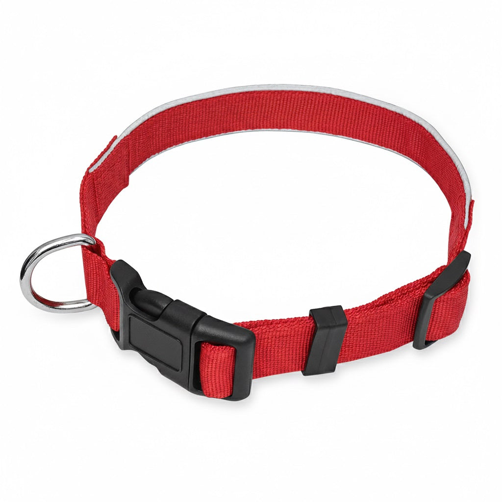 Reflective Dog Collar – Adjustable, Lightweight & Safe for Night Walks