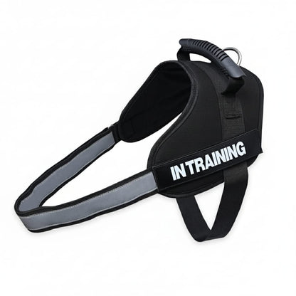 No-Pull Dog Harness with Customizable Velcro Patch