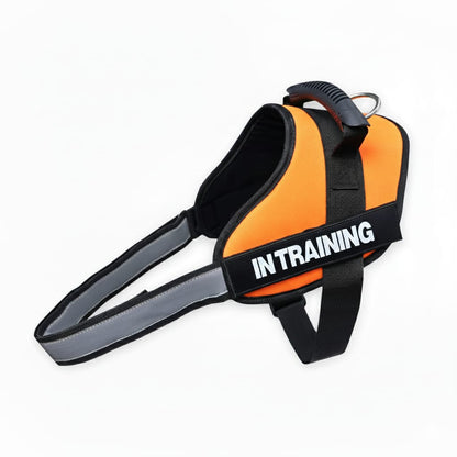 No-Pull Dog Harness with Customizable Velcro Patch