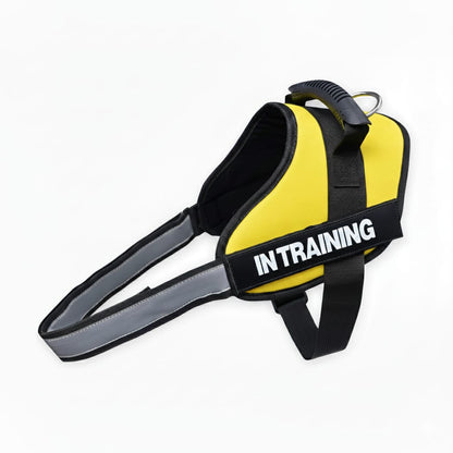 No-Pull Dog Harness with Customizable Velcro Patch