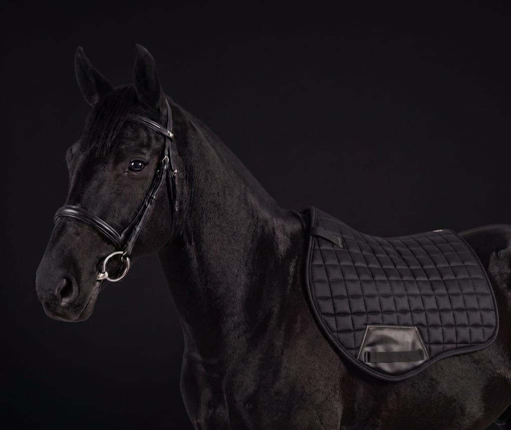 English Saddle Pad